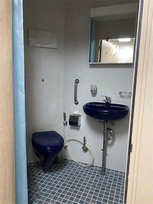 Αγορά Προ υπέροχο μορφωματικό Washroom γραφείων τουαλετών αδιάβροχο ηλεκτρονική κατασκευή